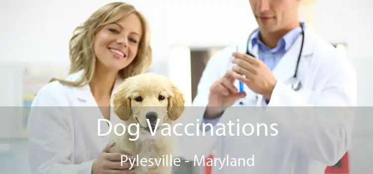 Dog Vaccinations Pylesville - Maryland