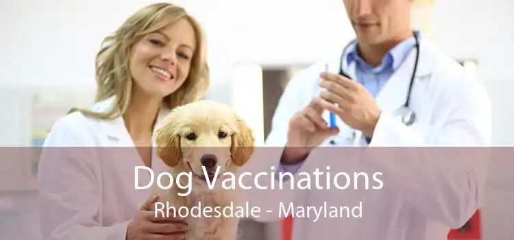 Dog Vaccinations Rhodesdale - Maryland