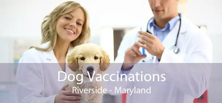 Dog Vaccinations Riverside - Maryland