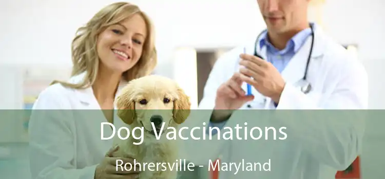 Dog Vaccinations Rohrersville - Maryland