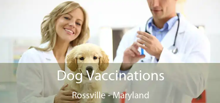 Dog Vaccinations Rossville - Maryland