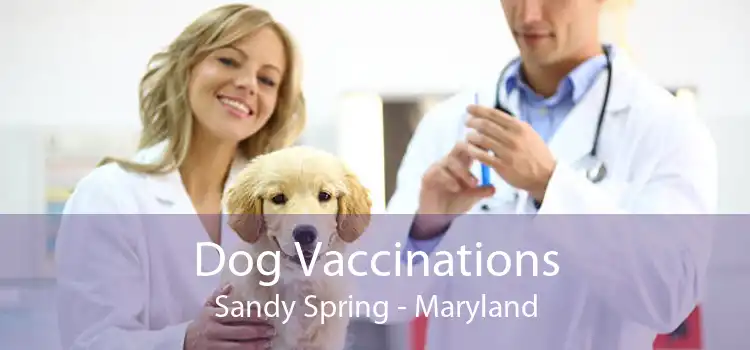 Dog Vaccinations Sandy Spring - Maryland
