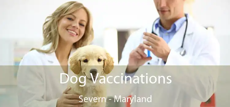 Dog Vaccinations Severn - Maryland