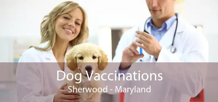 Dog Vaccinations Sherwood - Maryland