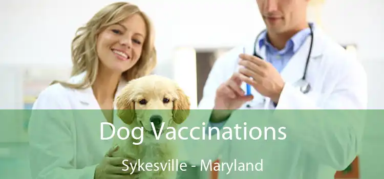 Dog Vaccinations Sykesville - Maryland