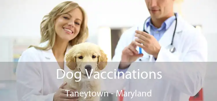 Dog Vaccinations Taneytown - Maryland