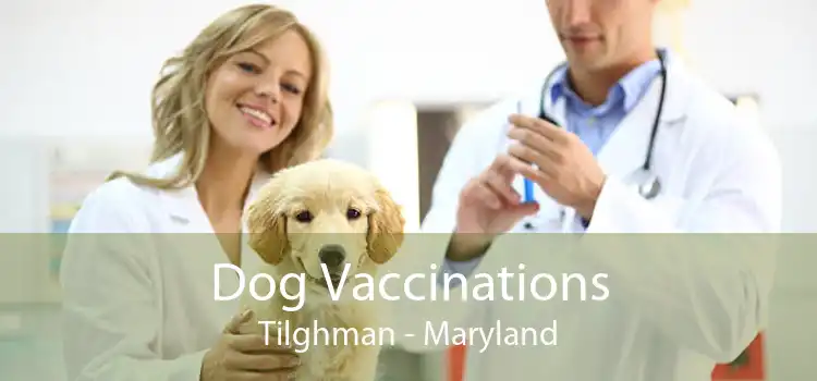 Dog Vaccinations Tilghman - Maryland