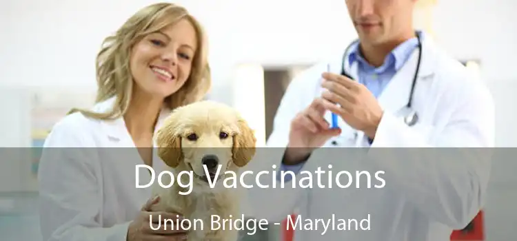 Dog Vaccinations Union Bridge - Maryland