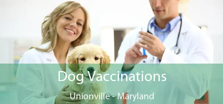 Dog Vaccinations Unionville - Maryland