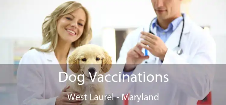 Dog Vaccinations West Laurel - Maryland