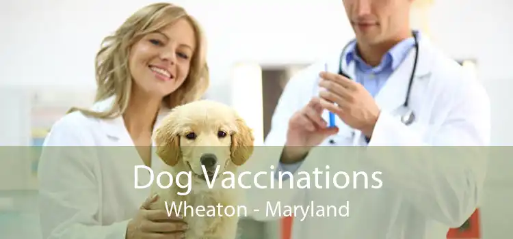 Dog Vaccinations Wheaton - Maryland