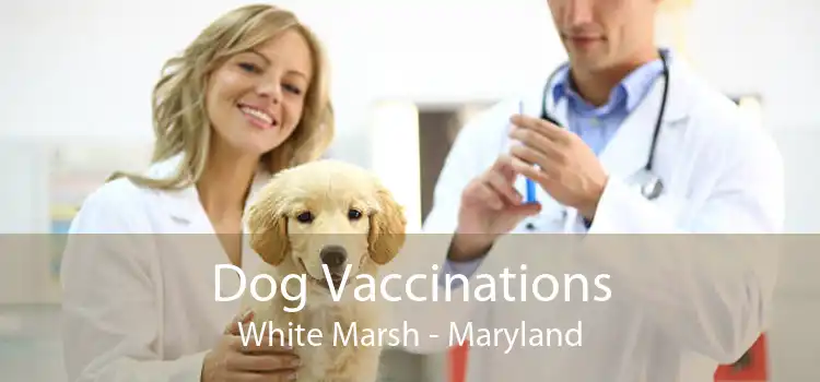Dog Vaccinations White Marsh - Maryland