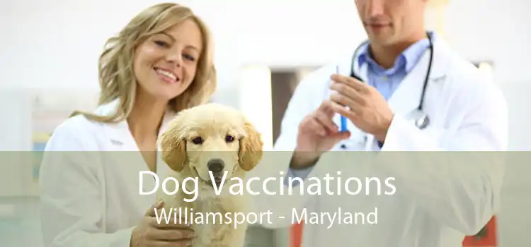 Dog Vaccinations Williamsport - Maryland