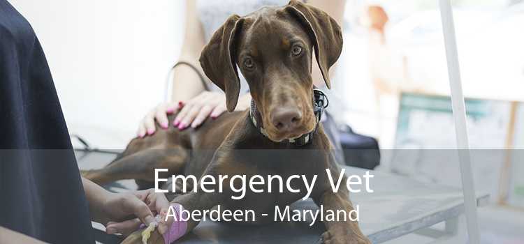 Emergency Vet Aberdeen - Maryland
