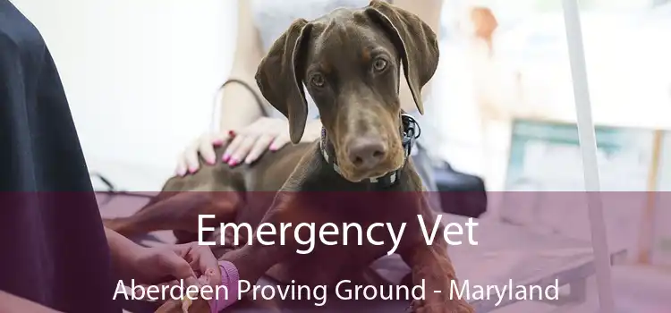 Emergency Vet Aberdeen Proving Ground - Maryland