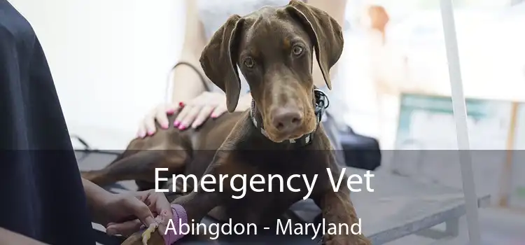 Emergency Vet Abingdon - Maryland