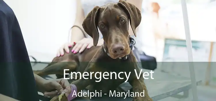 Emergency Vet Adelphi - Maryland