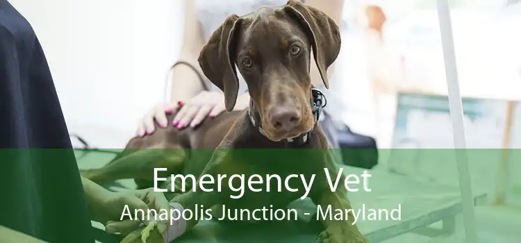 Emergency Vet Annapolis Junction - Maryland