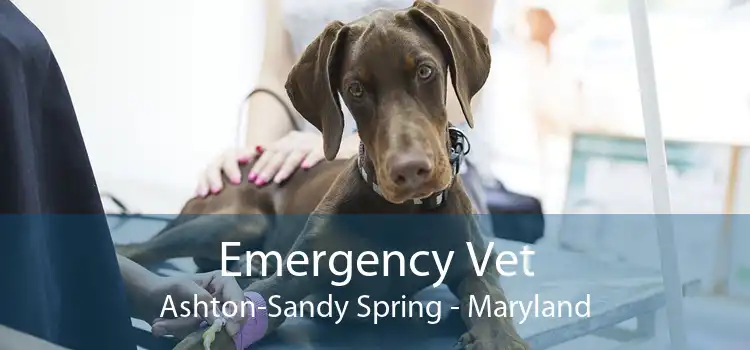 Emergency Vet Ashton-Sandy Spring - Maryland