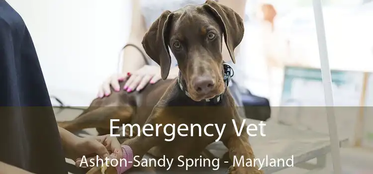 Emergency Vet Ashton-Sandy Spring - Maryland