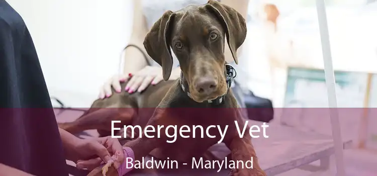 Emergency Vet Baldwin - Maryland