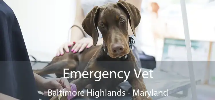 Emergency Vet Baltimore Highlands - Maryland