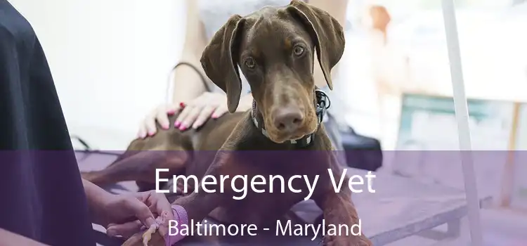 Emergency Vet Baltimore - Maryland