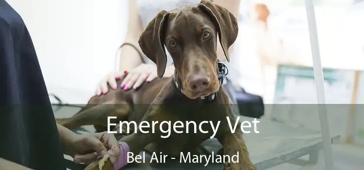 Emergency Vet Bel Air - Maryland