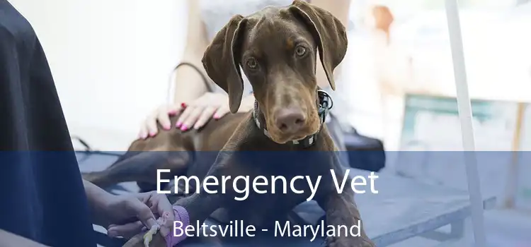 Emergency Vet Beltsville - Maryland