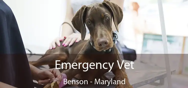 Emergency Vet Benson - Maryland