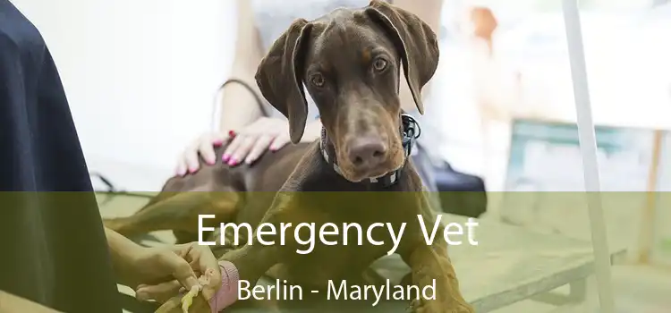 Emergency Vet Berlin - Maryland