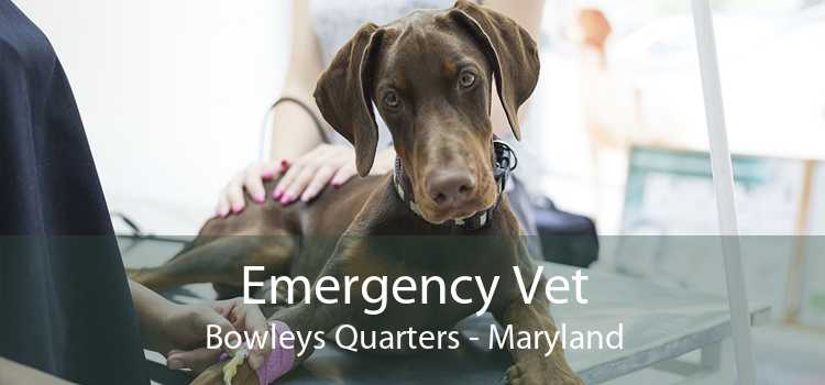 Emergency Vet Bowleys Quarters - Maryland
