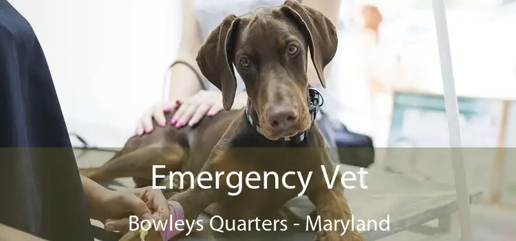 Emergency Vet Bowleys Quarters - Maryland