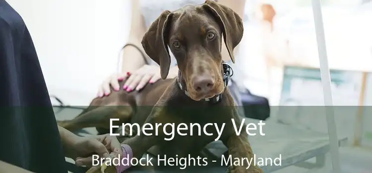 Emergency Vet Braddock Heights - Maryland