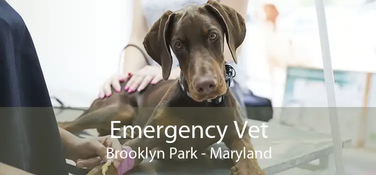 Emergency Vet Brooklyn Park - Maryland