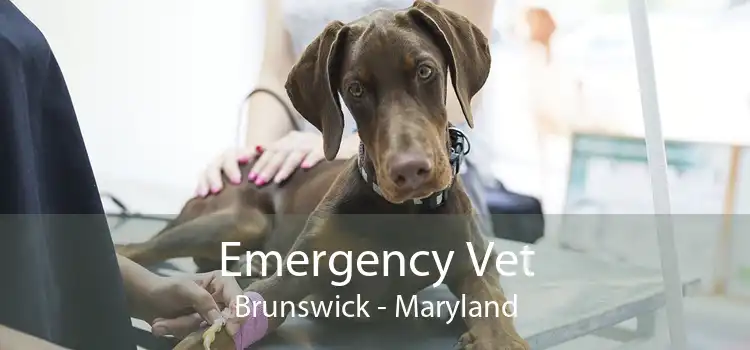Emergency Vet Brunswick - Maryland