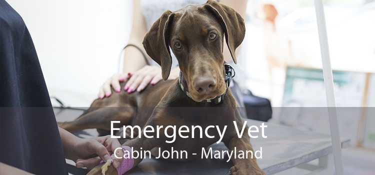 Emergency Vet Cabin John - Maryland