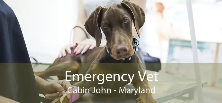 Emergency Vet Cabin John - Maryland