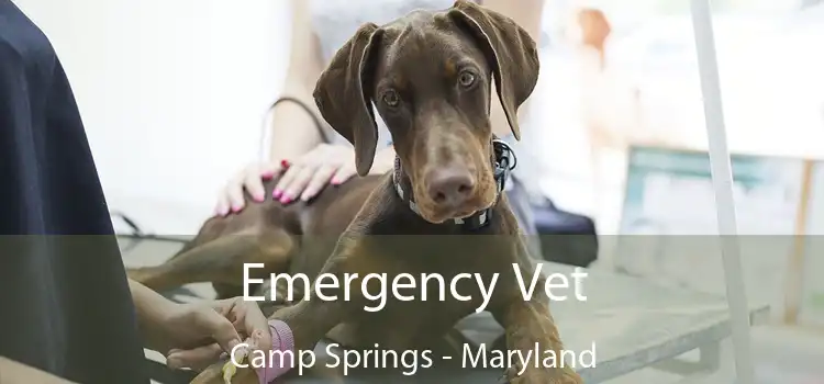 Emergency Vet Camp Springs - Maryland