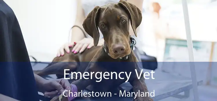 Emergency Vet Charlestown - Maryland