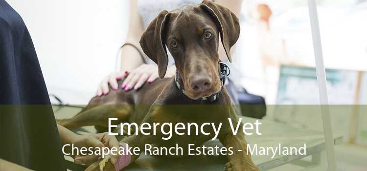 Emergency Vet Chesapeake Ranch Estates - Maryland