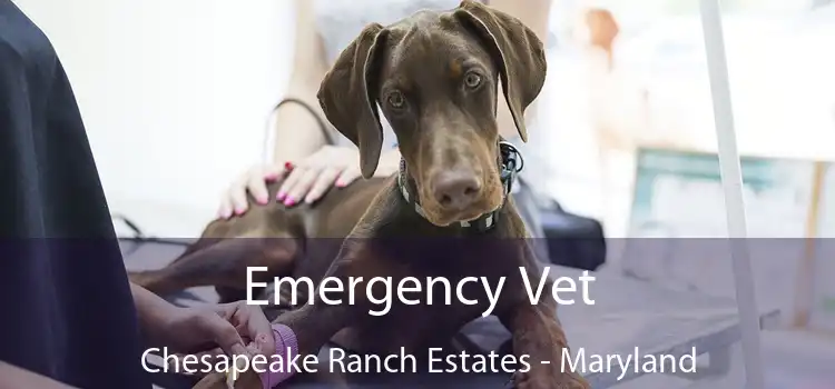 Emergency Vet Chesapeake Ranch Estates - Maryland