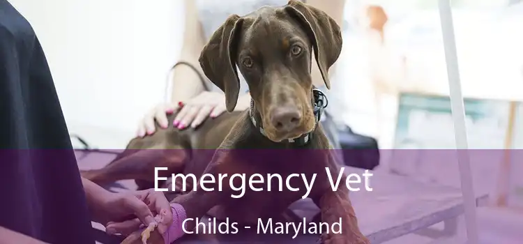 Emergency Vet Childs - Maryland