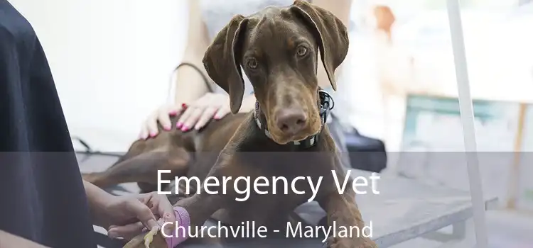 Emergency Vet Churchville - Maryland