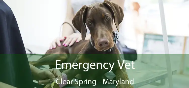 Emergency Vet Clear Spring - Maryland