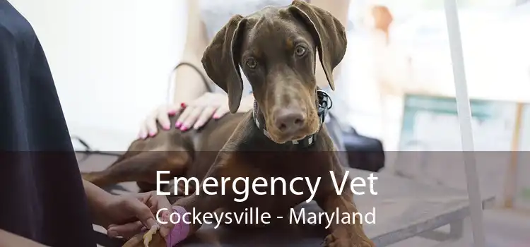 Emergency Vet Cockeysville - Maryland