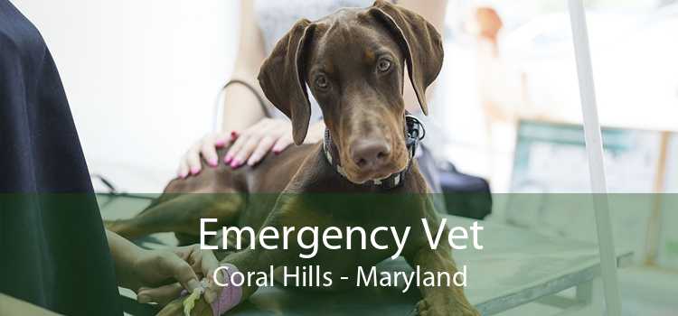 Emergency Vet Coral Hills - Maryland