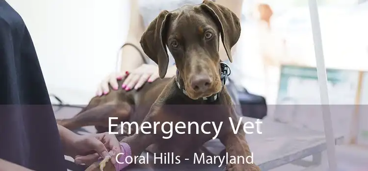 Emergency Vet Coral Hills - Maryland