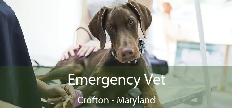 Emergency Vet Crofton - Maryland