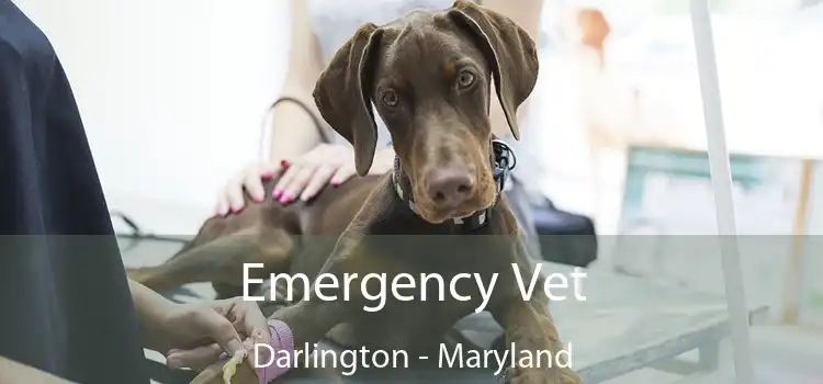 Emergency Vet Darlington - Maryland